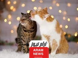 أسماء قطط ذكور بالفرنسية
