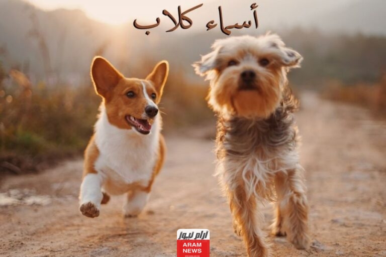 اسماء الكلاب الاناث؟