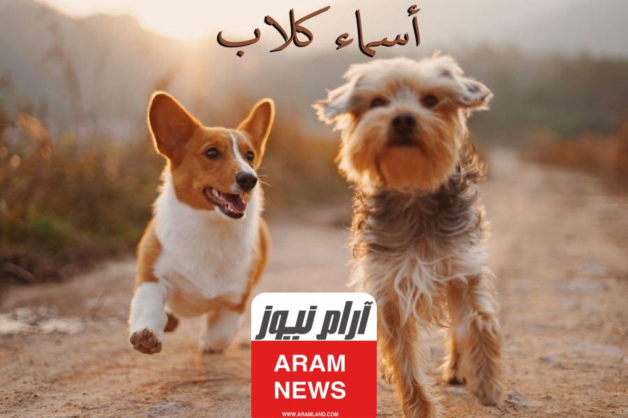 اسماء الكلاب الاناث؟