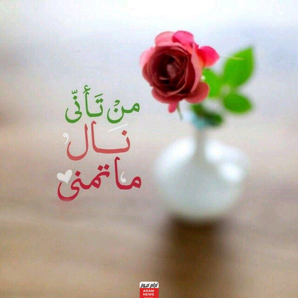 أجمل كلام مساء الخير