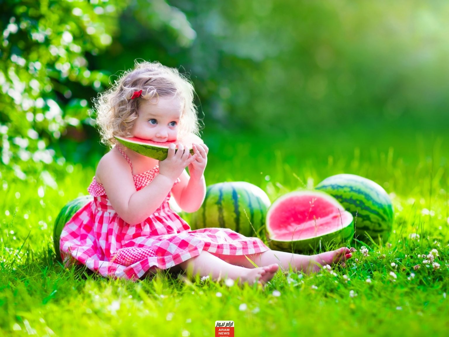 أسماء بنات جديدة بحرف د