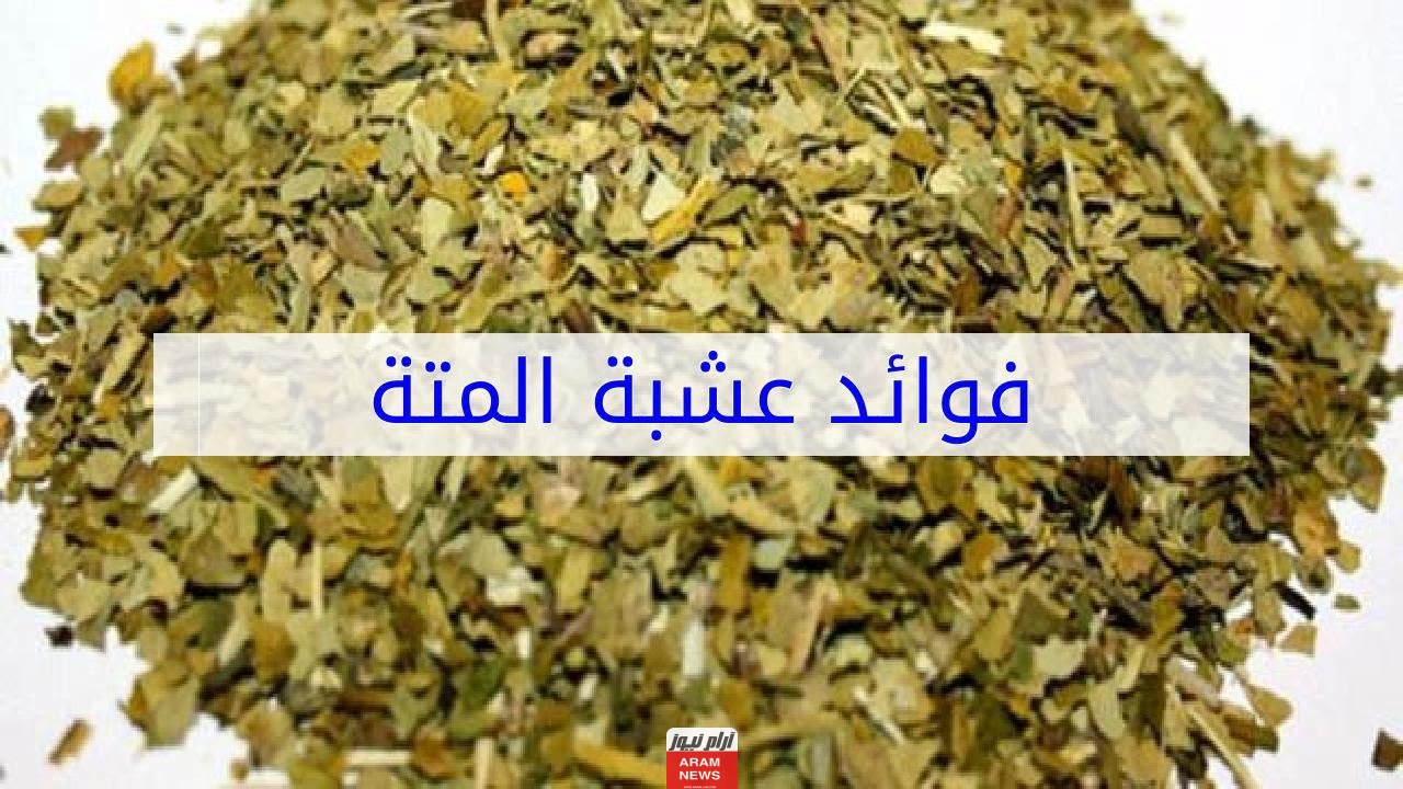 فوائد مشروب المتة الكثيرة