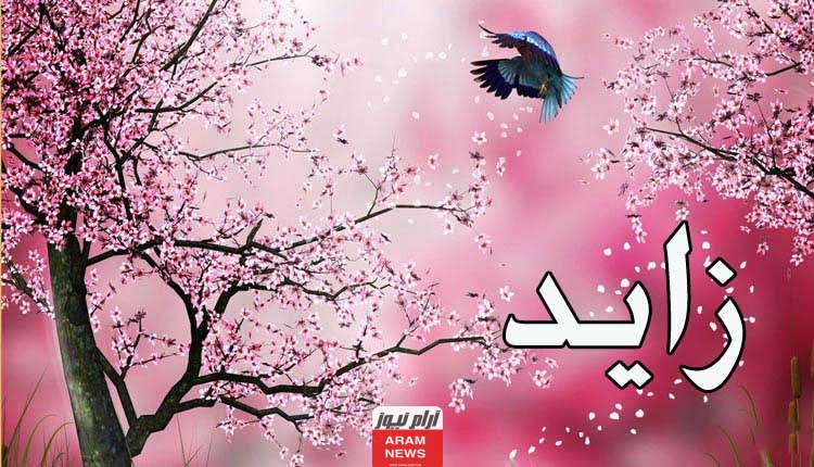 معنى اسم زايد في علم النفس