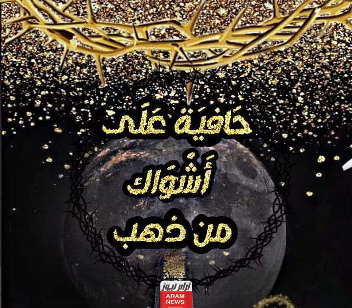 تحميل رواية حافية على اشواك من ذهب pdf