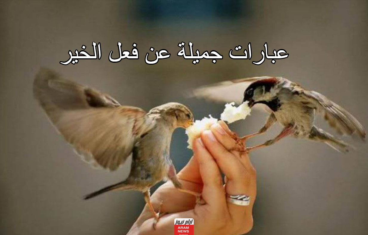 عبارات جميلة عن فعل الخير