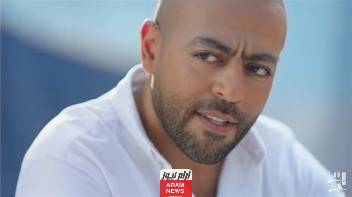 من هو تامر عاشور ويكيبيديا