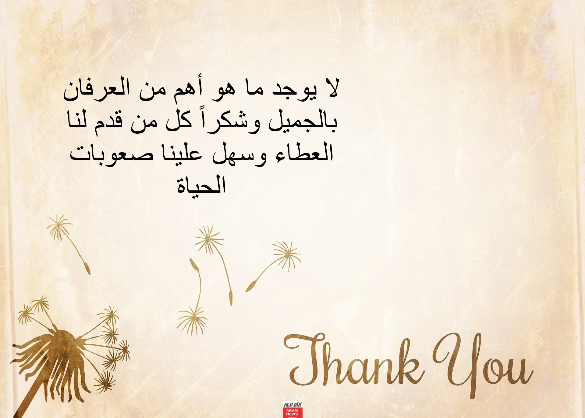 100 عبارة عن العم عمي