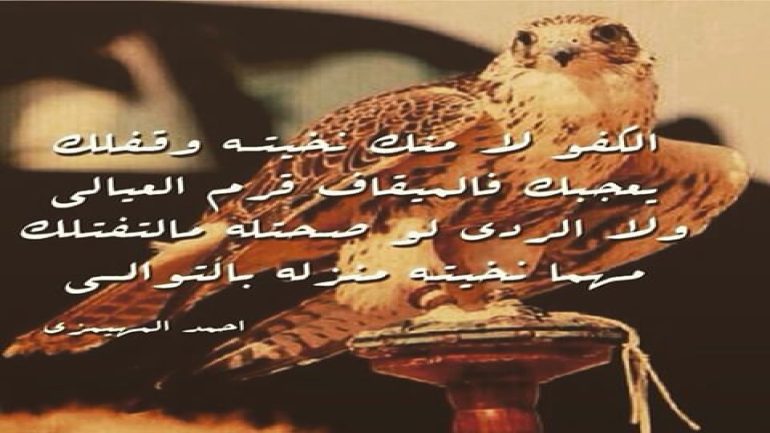 عبارات <yoastmark class=