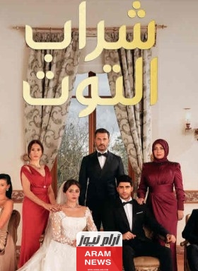 مشاهدة مسلسل شراب التوت الحلقة 9 كاملة مترجمة دقة عالية وي سيما ايجي بست
