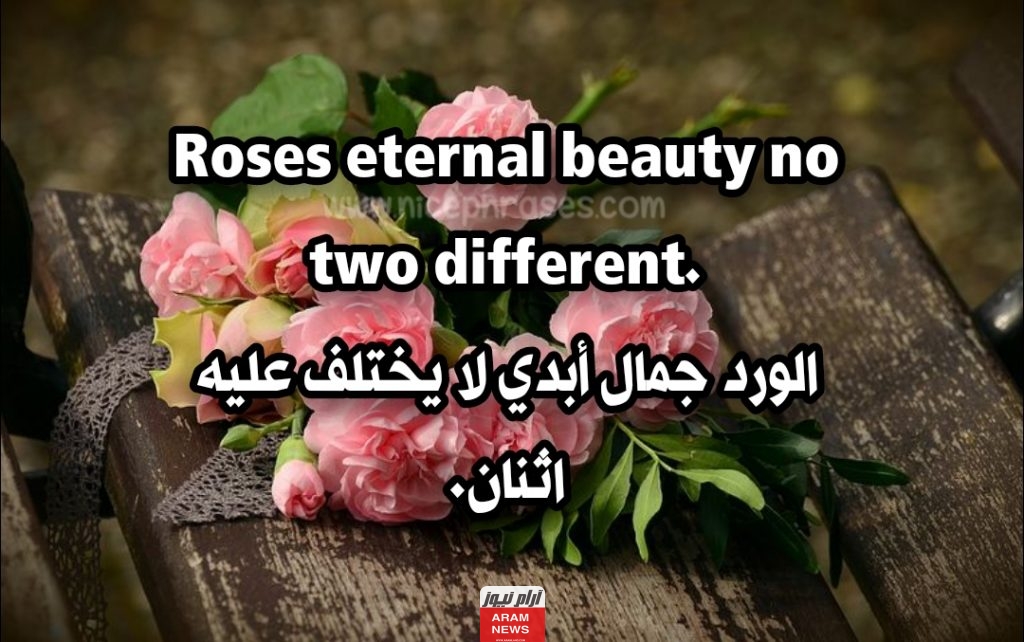 عبارات عن الورد بالانجليزي لتويتر