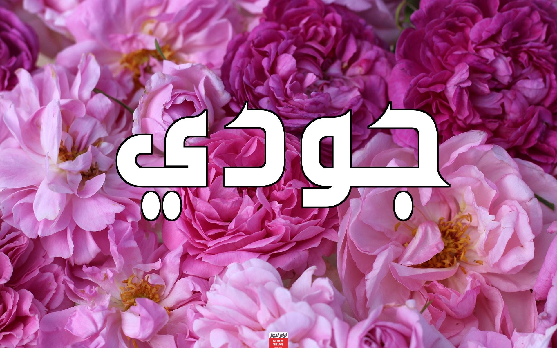 معنى اسم جودي