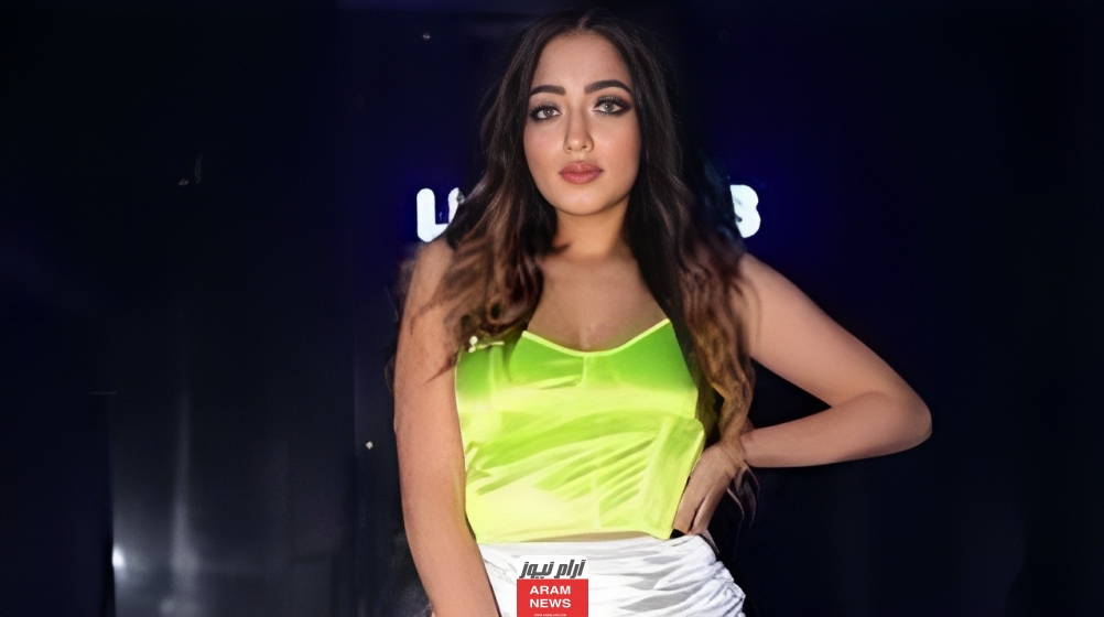 من هي البلوجر آية ايهاب السيرة الذاتية ويكيبيديا