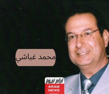 من هو محمد غباشي السيرة الذاتية ويكيبيديا
