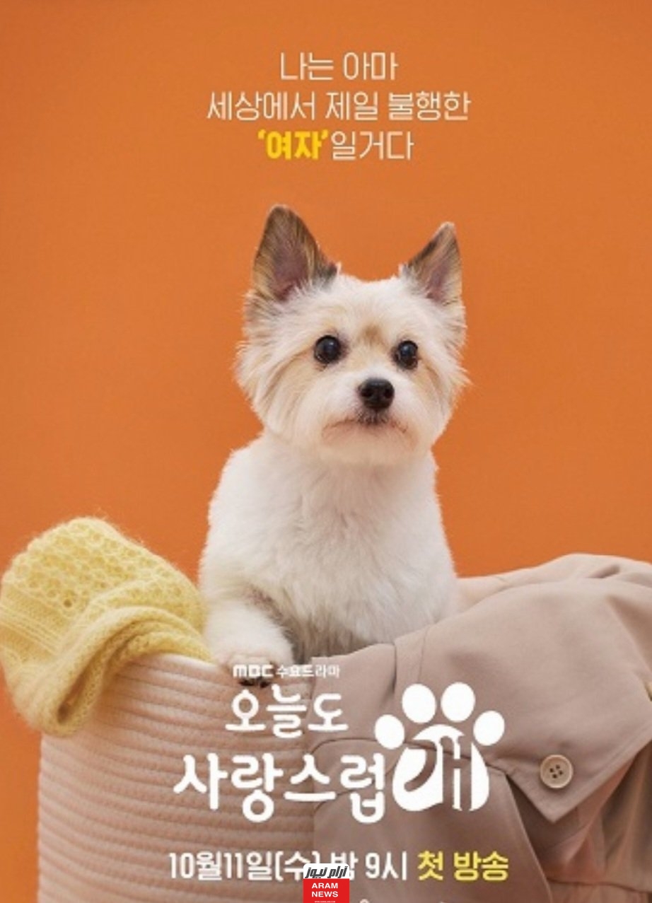 تحميل ومشاهدة مسلسل A Good Day To be a Dog الحلقة 12 مترجمة بدقة hd كاملة ايجي بست لاروزا فيديو