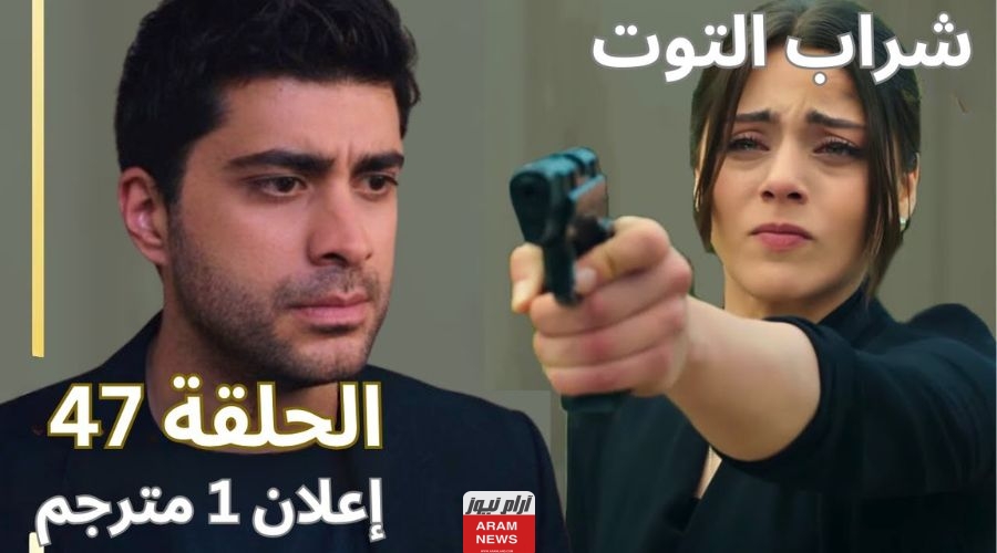 مشاهدة مسلسل شراب التوت الحلقة 47 برستيج