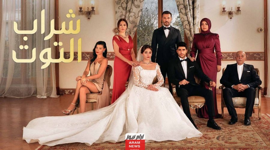 مشاهدة مسلسل شراب التوت الحلقة 49 مترجمة كاملة دقة عالية hd ايجي بست ماي سيما