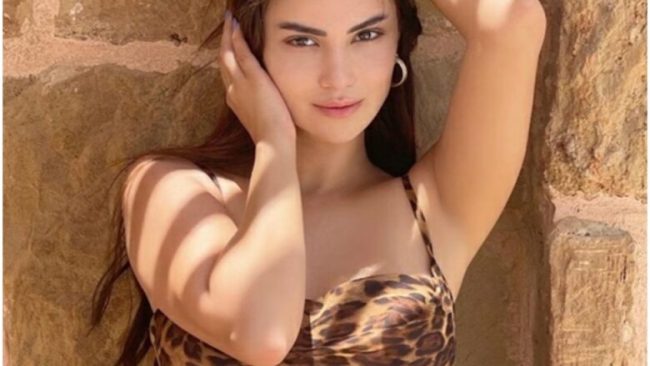 أهم أعمال هدى الاتربي الفنية