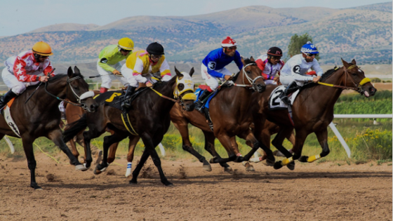 مشهد المراهنات الرياضية في العالم العربي بين الانفتاح والتنظيم